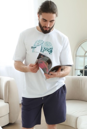 173930 Шорты муж. Almando Melado 3719M-45065.2H-729 (1)