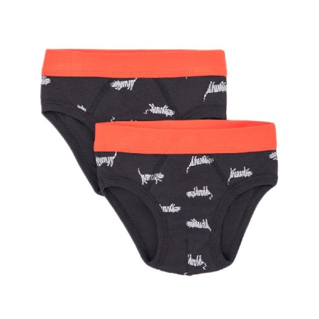 166073 Трусы для мал Trikozza К 1907/2