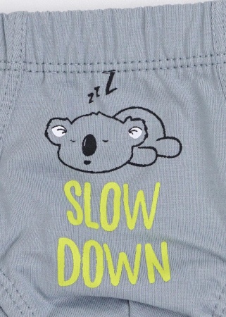 176863 Трусы мал. CLE BC5496 (1)