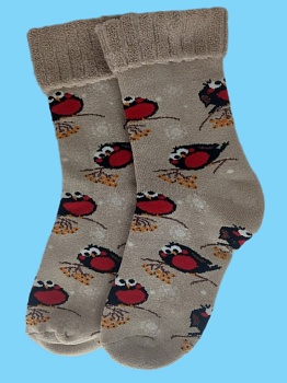 Носки махровые для женщин Sandra 179520